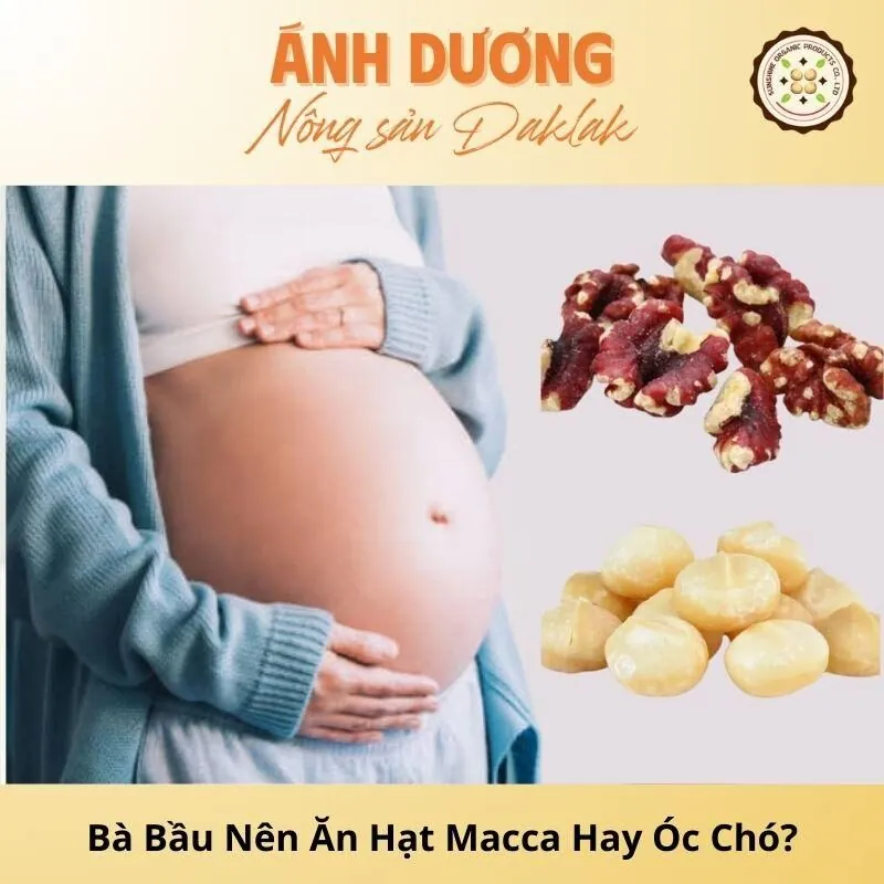Bà Bầu Nên Ăn Hạt Macca Hay Óc Chó Để Tốt Cho Thai Kỳ_67b9dd71963ad.jpeg