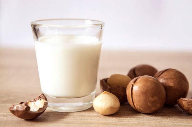 Cách Làm Sữa Hạt Macca Thơm Ngon Tại Nhà 1 gioi-thieu-sua-hat-mac-ca