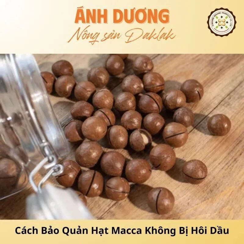 Hướng Dẫn Cách Bảo Quản Hạt Macca Không Bị Hôi Dầu_67b9de77ecca7.jpeg