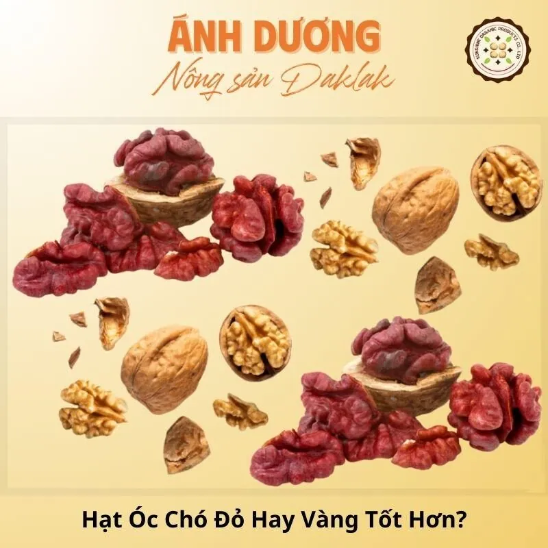 So Sánh: Hạt Óc Chó Đỏ Hay Vàng Tốt Hơn?_67b9dd6ca167a.jpeg
