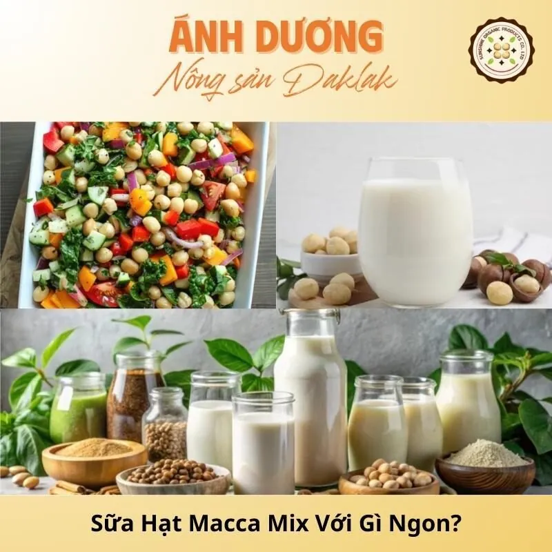 Sữa Hạt Macca Mix Với Gì Ngon?_67b9de9636986.jpeg