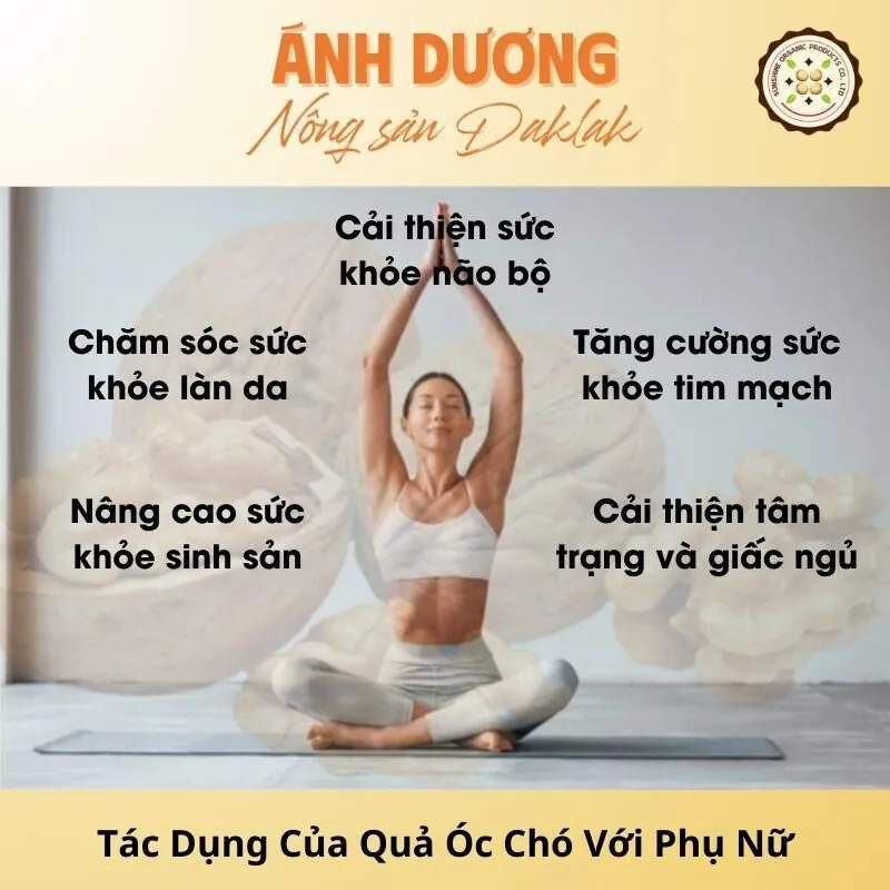 Tìm Hiểu Tác Dụng Của Quả Óc Chó Với Phụ Nữ_67b9dd76b7b40.jpeg