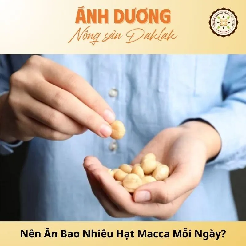 Tư Vấn: Nên Ăn Bao Nhiêu Hạt Macca Mỗi Ngày Là Hợp Lý?_67b9deeb12235.jpeg
