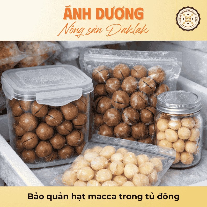 Hướng Dẫn Cách Bảo Quản Hạt Macca Không Bị Hôi Dầu 3 Bảo quản hạt macca trong tủ đông