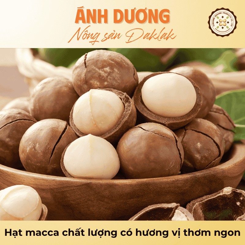 Bí Quyết Chọn Mua Hạt Macca Chất Lượng Đúng Chuẩn 2 Hạt macca chất lượng có hương vị thơm ngon