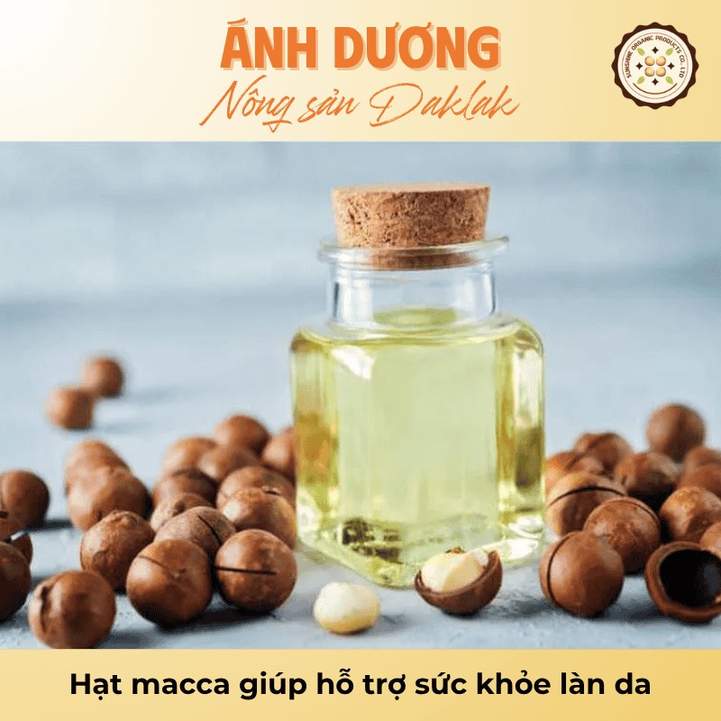 Hạt Macca Có Tác Dụng Gì? Công Dụng Của Hạt Macca 3 Hạt macca giúp hỗ trợ sức khỏe làn da