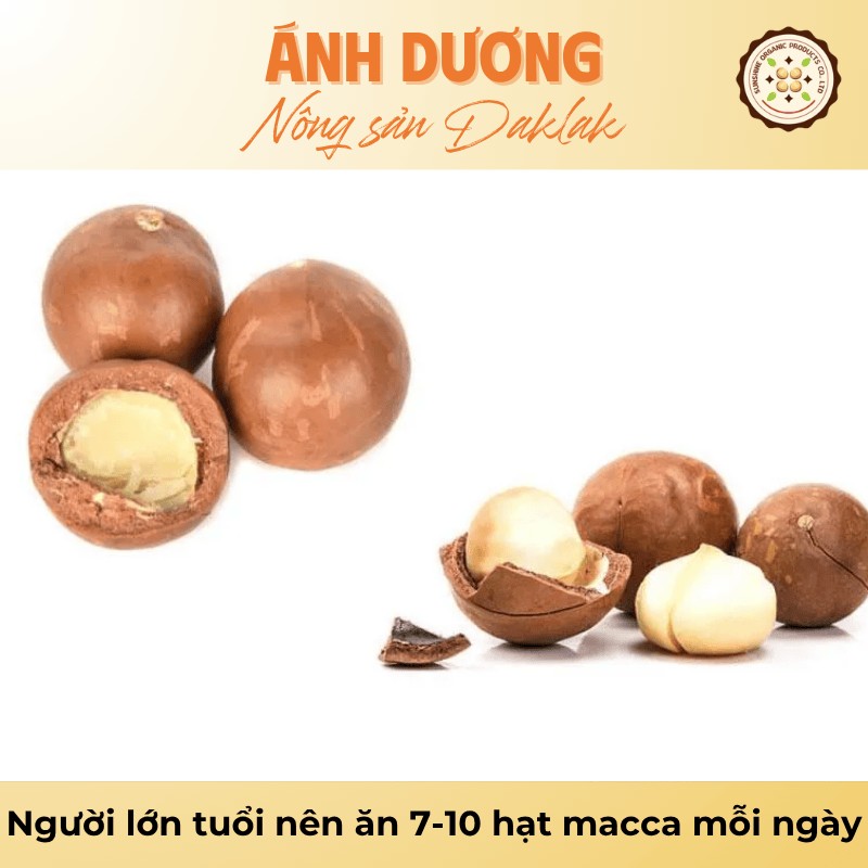 Tư Vấn: Nên Ăn Bao Nhiêu Hạt Macca Mỗi Ngày Là Hợp Lý? 3 Người lớn tuổi nên ăn 7-10 hạt macca mỗi ngày