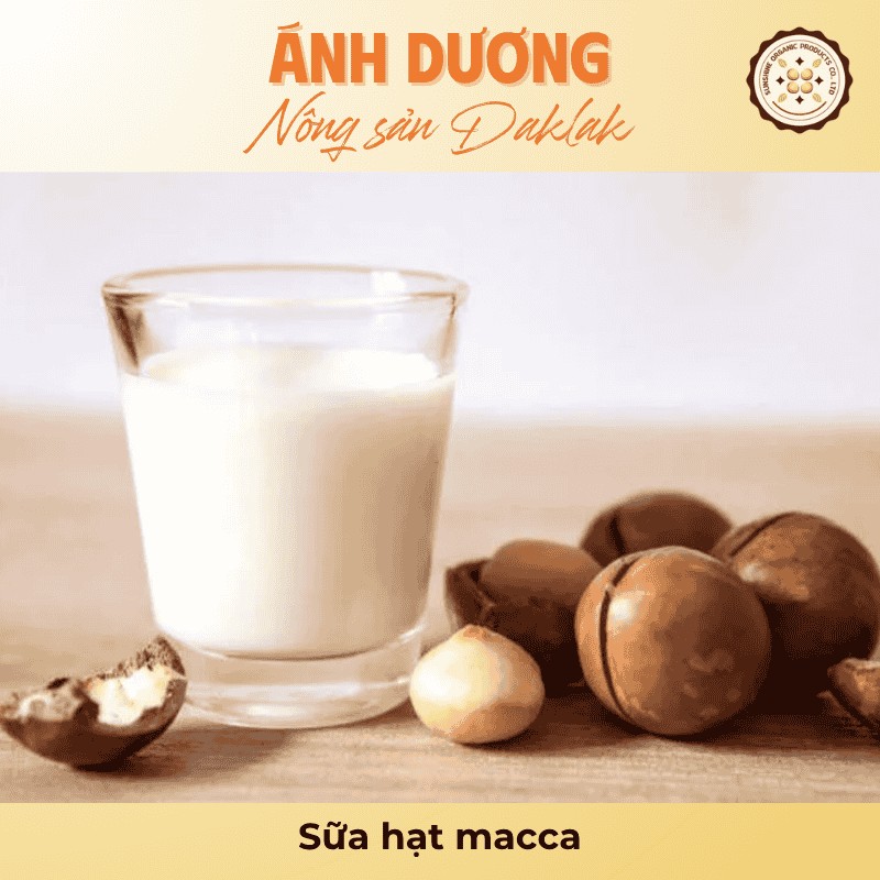 Sữa hạt macca
