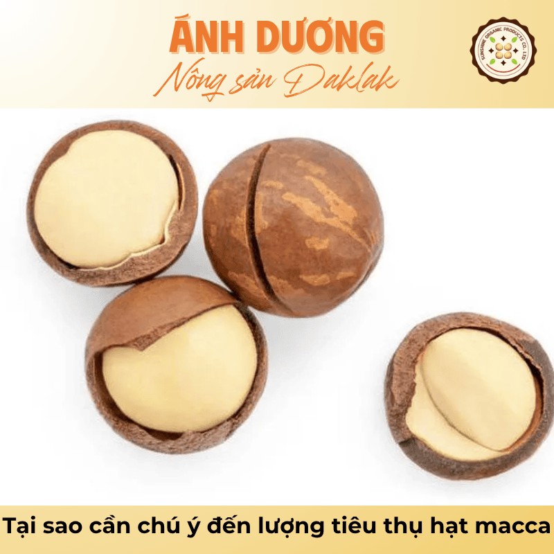 Tư Vấn: Nên Ăn Bao Nhiêu Hạt Macca Mỗi Ngày Là Hợp Lý? 2 Tại sao cần chú ý đến lượng tiêu thụ hạt macca?