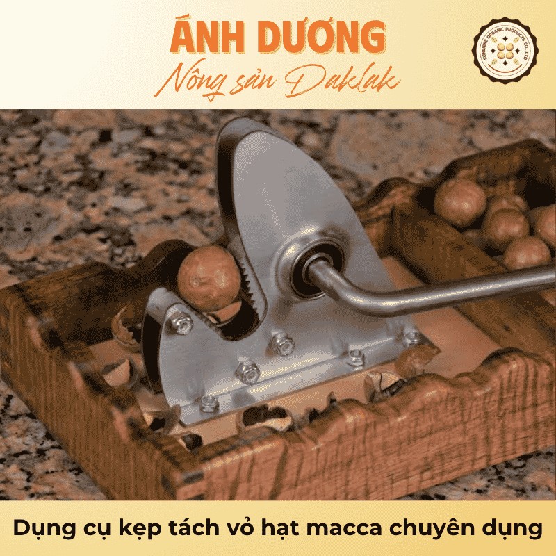 Cách Tách Hạt Macca Tươi, Khô Đơn Giản Tại Nhà 3 Dụng cụ kẹp tách vỏ hạt macca chuyên dụng